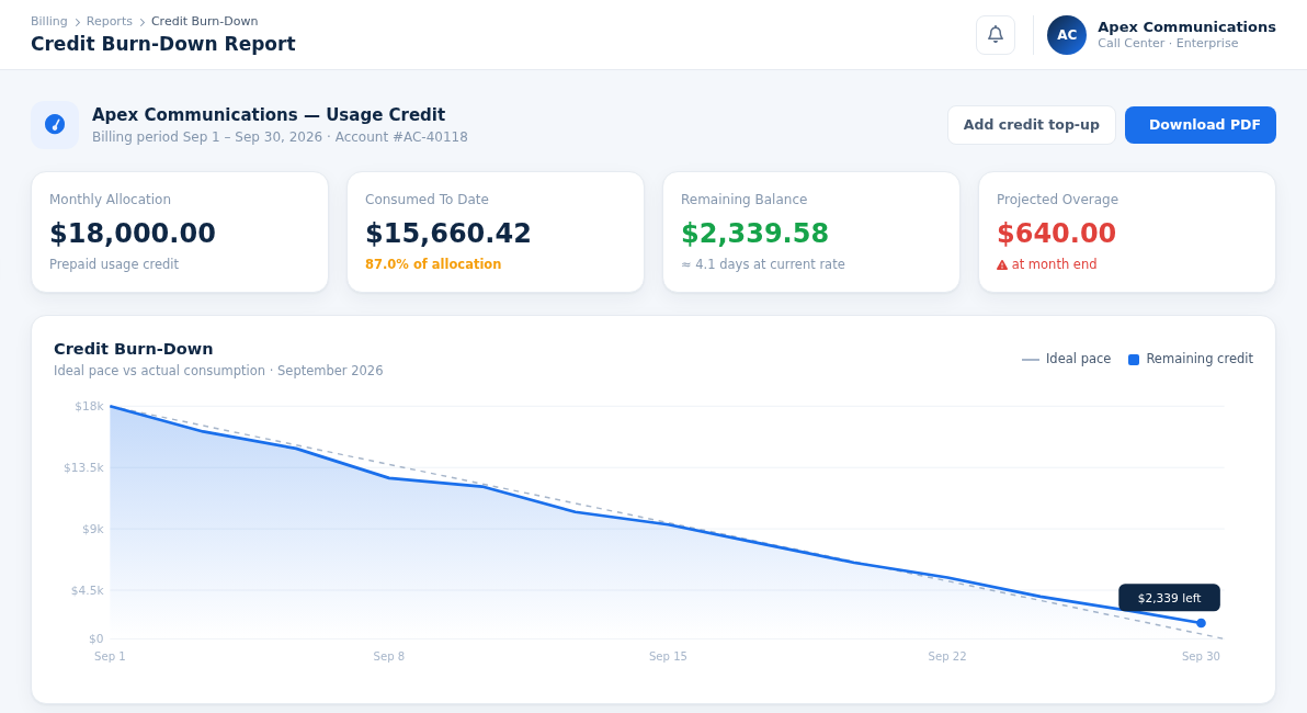 Illustrative usage-credit dashboard with balance cards and a credit burn-down chart